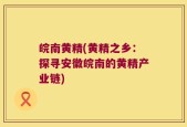 皖南黄精(黄精之乡：探寻安徽皖南的黄精产业链)