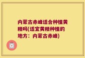 内蒙古赤峰适合种植黄精吗(适宜黄精种植的地方：内蒙古赤峰)
