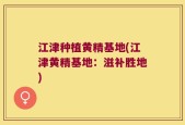 江津种植黄精基地(江津黄精基地：滋补胜地)