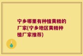 宁乡哪里有种植黄精的厂家(宁乡地区黄精种植厂家推荐)