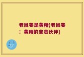 老鼠姜是黄精(老鼠姜：黄精的宝贵伙伴)