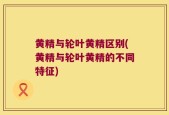 黄精与轮叶黄精区别(黄精与轮叶黄精的不同特征)