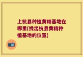 上杭县种植黄精基地在哪里(找出杭县黄精种植基地的位置)