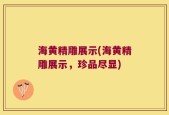 海黄精雕展示(海黄精雕展示，珍品尽显)