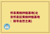 怀柔黄精种植基地(北京怀柔区黄精种植基地：探寻自然之美)