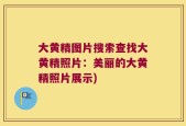 大黄精图片搜索查找大黄精照片：美丽的大黄精照片展示)