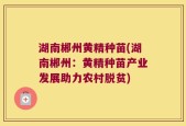 湖南郴州黄精种苗(湖南郴州：黄精种苗产业发展助力农村脱贫)