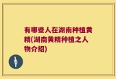 有哪些人在湖南种植黄精(湖南黄精种植之人物介绍)