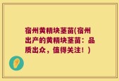 宿州黄精块茎苗(宿州出产的黄精块茎苗：品质出众，值得关注！)