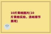 10斤黄精图片(10斤黄精实拍，清晰细节展现)