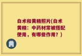 白术和黄精照片(白术黄精：中药材常被搭配使用，有哪些作用？)
