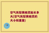 空气凤梨黄精灵能长多大(空气凤梨黄精灵的大小和重量)