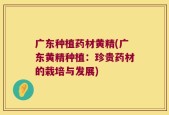 广东种植药材黄精(广东黄精种植：珍贵药材的栽培与发展)