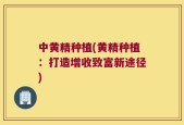 中黄精种植(黄精种植：打造增收致富新途径)