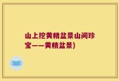 山上挖黄精盆景山间珍宝——黄精盆景)