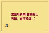 猪腰加黄精(猪腰配上黄精，有何效益？)