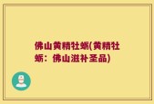 佛山黄精牡蛎(黄精牡蛎：佛山滋补圣品)