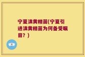 宁夏滇黄精苗(宁夏引进滇黄精苗为何备受瞩目？)