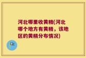 河北哪里收黄精(河北哪个地方有黄精，该地区的黄精分布情况)