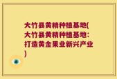 大竹县黄精种植基地(大竹县黄精种植基地：打造黄金果业新兴产业)
