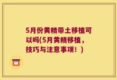 5月份黄精带土移植可以吗(5月黄精移植，技巧与注意事项！)