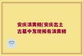 安庆滇黄精(安庆出土古墓中发现稀有滇黄精