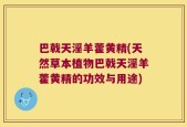 巴戟天淫羊藿黄精(天然草本植物巴戟天淫羊藿黄精的功效与用途)