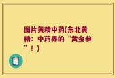 图片黄精中药(东北黄精：中药界的“黄金参”！)