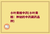 小叶黄精中药(小叶黄精：神秘的中药藏药品种)
