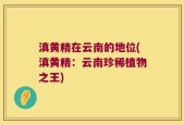 滇黄精在云南的地位(滇黄精：云南珍稀植物之王)