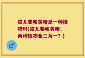 猫儿姜和黄精是一种植物吗(猫儿姜和黄精：两种植物合二为一？)