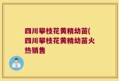 四川攀枝花黄精幼苗(四川攀枝花黄精幼苗火热销售