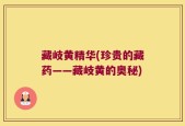 藏岐黄精华(珍贵的藏药——藏岐黄的奥秘)