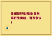 贵州挖野生黄精(贵州采野生黄精，引发争议)