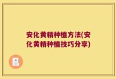 安化黄精种植方法(安化黄精种植技巧分享)