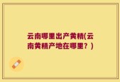云南哪里出产黄精(云南黄精产地在哪里？)