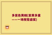 多紫色黄精(紫黄多重——一场视觉盛宴)