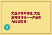 文登滇黄精种植(文登滇黄精种植——产业助力脱贫致富)