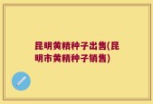 昆明黄精种子出售(昆明市黄精种子销售)