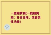 一鹿鞭黄精(一鹿鞭黄精：补肾壮阳，改善男性功能)