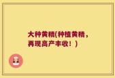 大种黄精(种植黄精，再现高产丰收！)