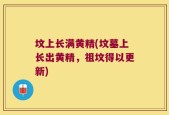 坟上长满黄精(坟墓上长出黄精，祖坟得以更新)