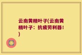 云南黄精叶子(云南黄精叶子：抗疲劳利器！)