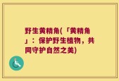 野生黄精角(「黄精角」：保护野生植物，共同守护自然之美)