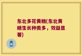 东北多花黄精(东北黄精生长种类多，效益显著)