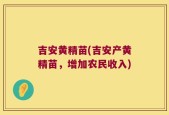 吉安黄精苗(吉安产黄精苗，增加农民收入)
