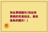 烛台黄精图片(烛台和黄精的完美组合，美轮美奂的图片！)