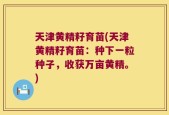 天津黄精籽育苗(天津黄精籽育苗：种下一粒种子，收获万亩黄精。)