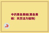 中药黑色黄精(黑色黄精：天然活力植物)
