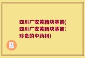 四川广安黄精块茎苗(四川广安黄精块茎苗：珍贵的中药材)